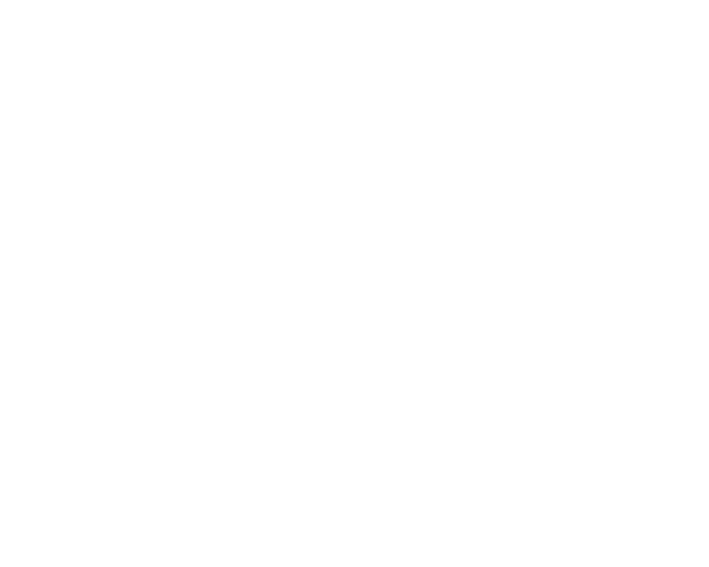 Forensic Toolkit
FTK